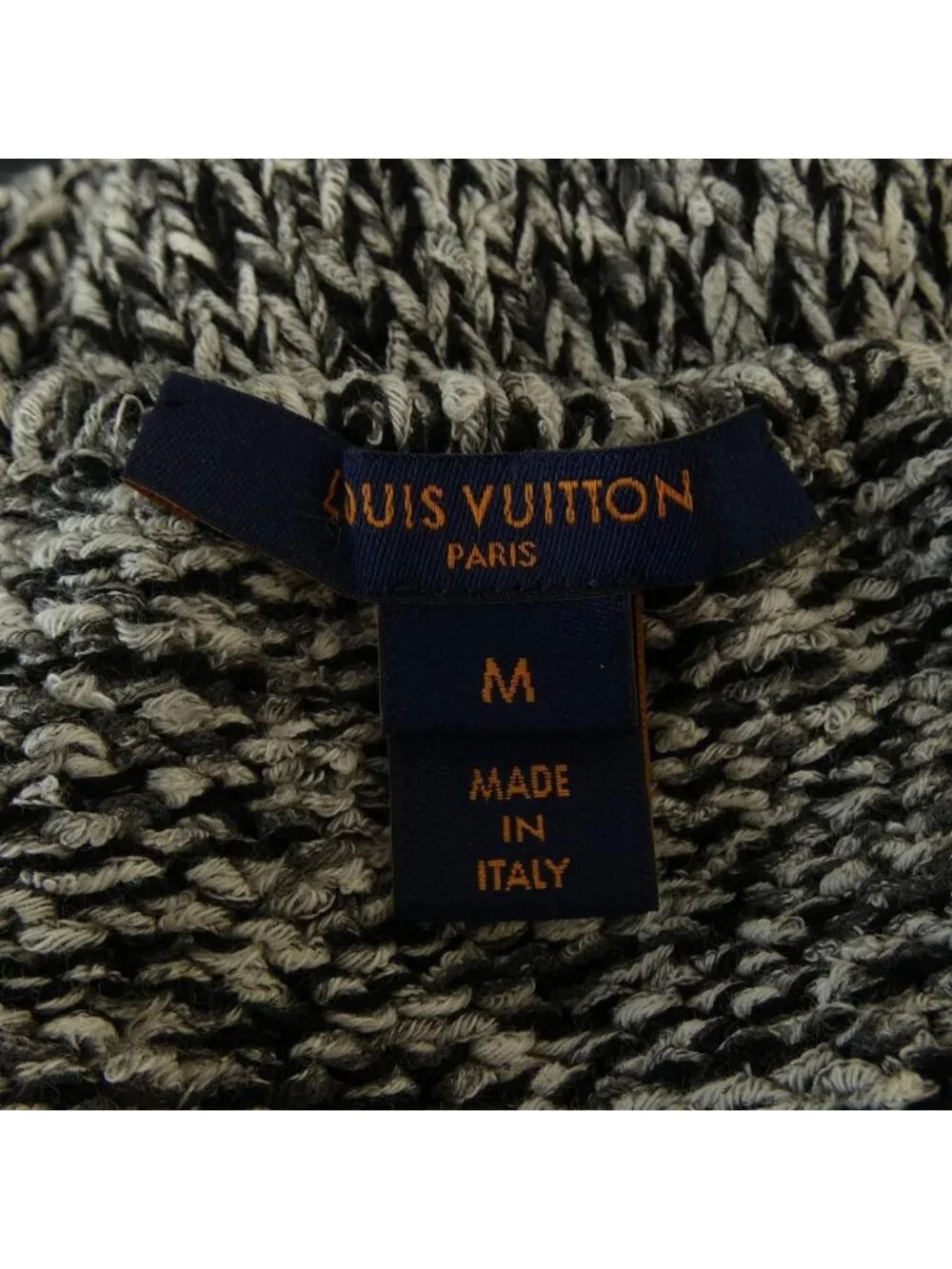 Louis Vuitton brand louis